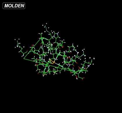 Molden_screen